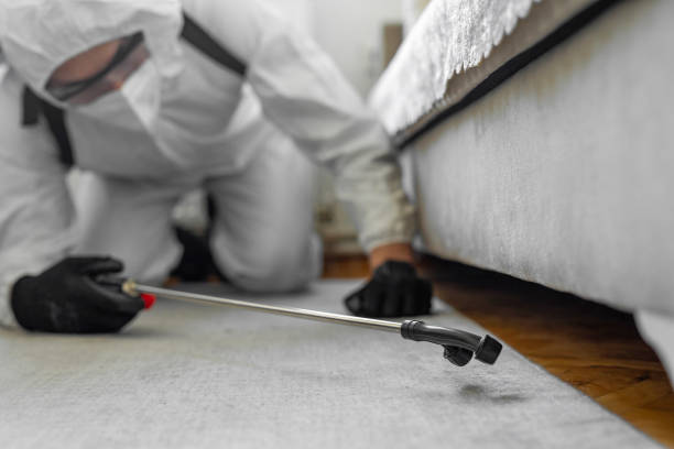 Professional Pest Control technician working in Copiah County County, MS